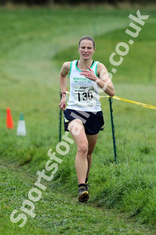 White 130,  North-East Harriers League, Cramlington